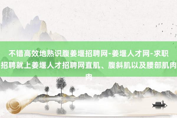 不错高效地熟识腹姜堰招聘网-姜堰人才网-求职招聘就上姜堰人才招聘网直肌、腹斜肌以及腰部肌肉