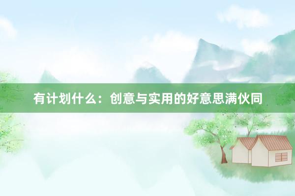 有计划什么：创意与实用的好意思满伙同
