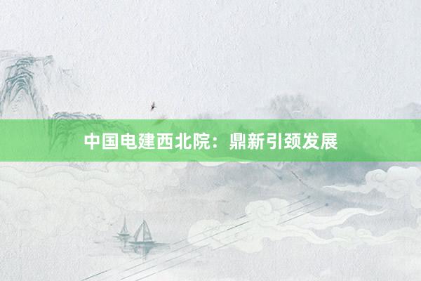 中国电建西北院：鼎新引颈发展