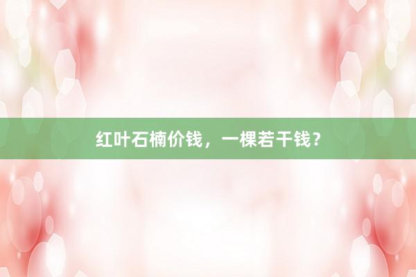 红叶石楠价钱，一棵若干钱？