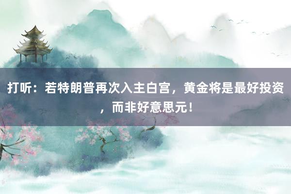 打听：若特朗普再次入主白宫，黄金将是最好投资，而非好意思元！