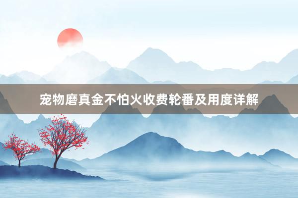 宠物磨真金不怕火收费轮番及用度详解