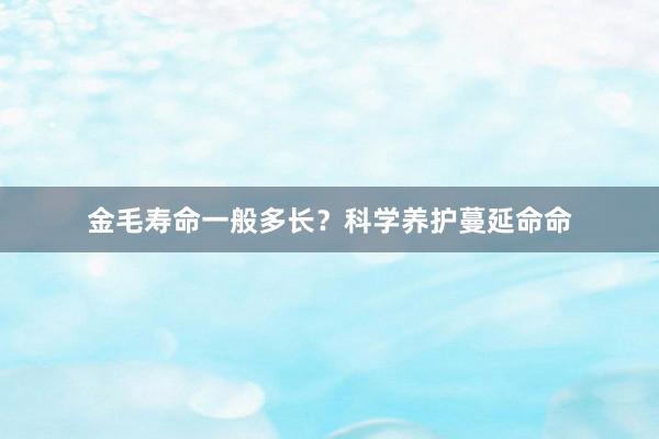 金毛寿命一般多长？科学养护蔓延命命